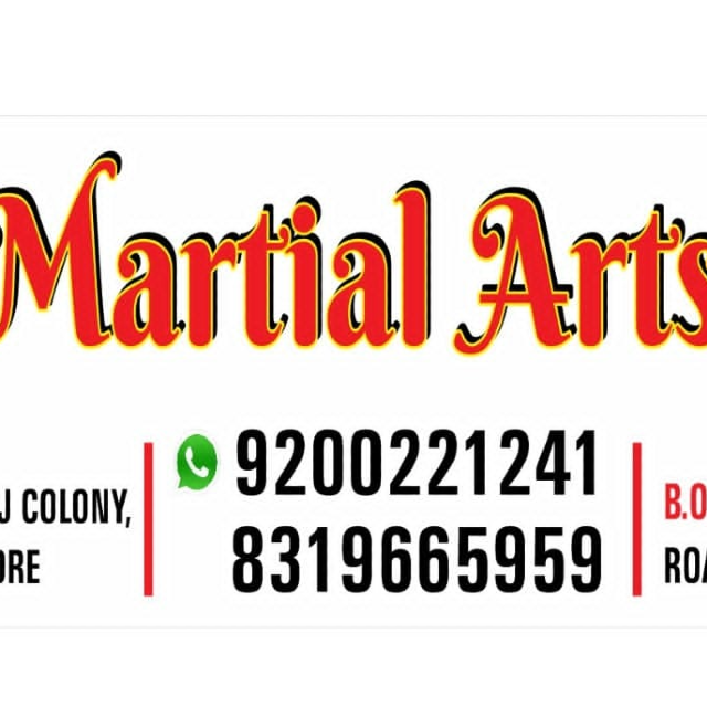 The Nikhil karate Academy logo