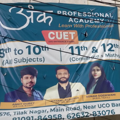 ANK PROFESSIONAL ACADEMY logo
