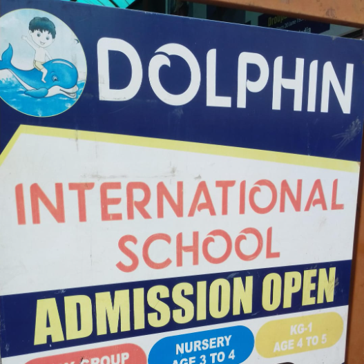 DOLPHIN INTERNATIONAL SCHOOL logo