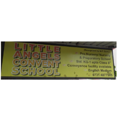 LITTLE ANGELS CONVENT SCHOOL logo