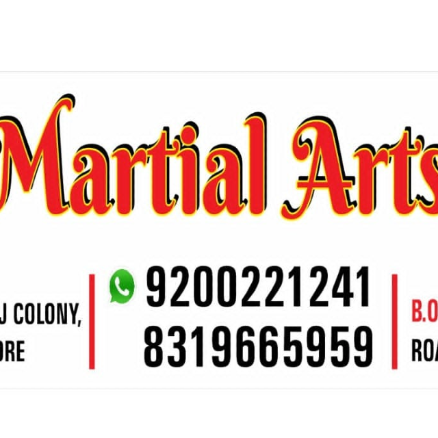 The Nikhil karate Academy  logo