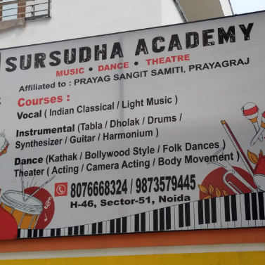 SURSUDHA ACADEMY logo