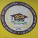 ACS INSTITUTE  logo