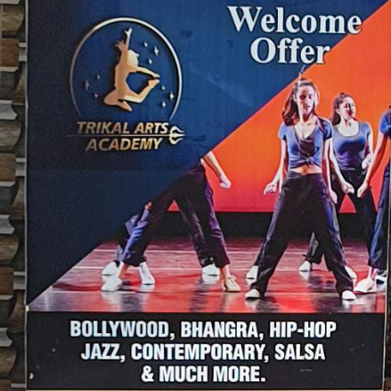 TRIKAL ARTS ACADEMY logo