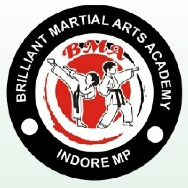 Brilliant martial arts Academy logo