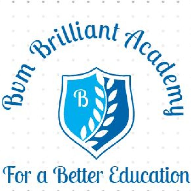 B.V.M BRILLIANT ACADEMY logo