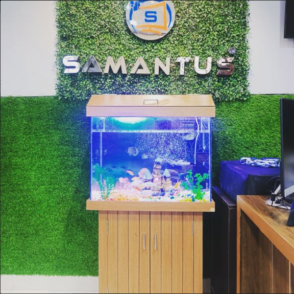 Samantus - Digital Marketing & Computer Training Institute