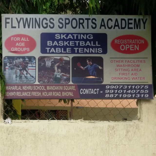Flywings sports Academy  logo