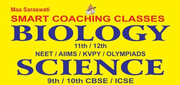 Smart Coaching Classes  image 1