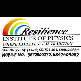 Resilience Institute for Physics