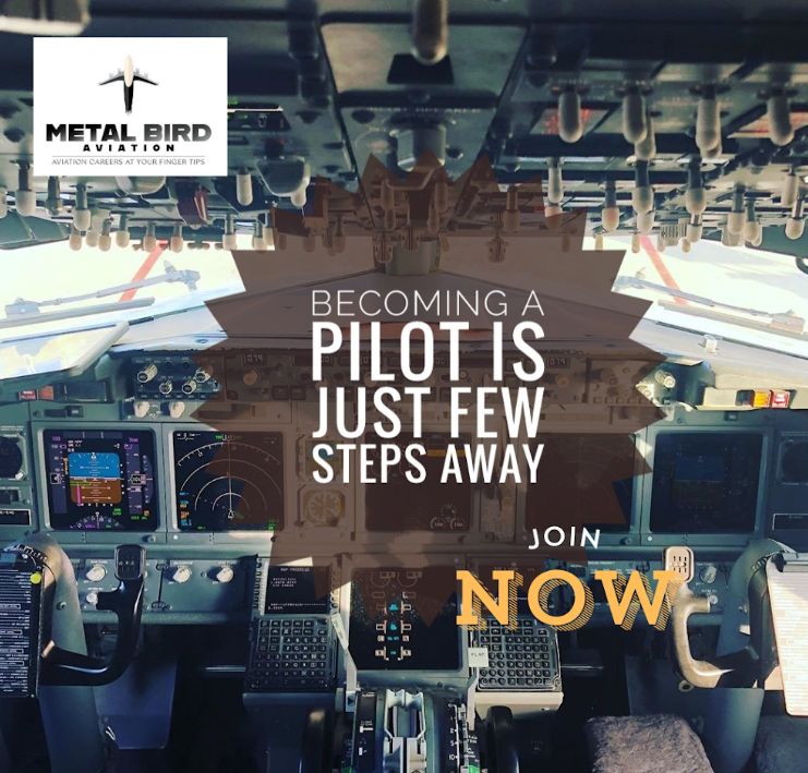 Metal Bird Aviation image 1