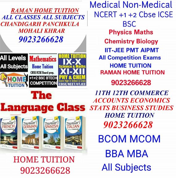 Raman Home Tuition image 1