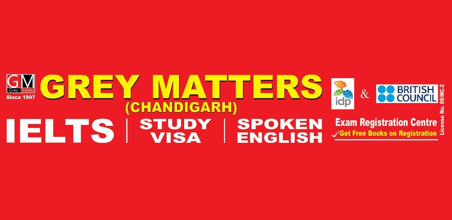 Grey Matters  image 1