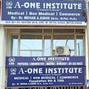 A-One Institute logo