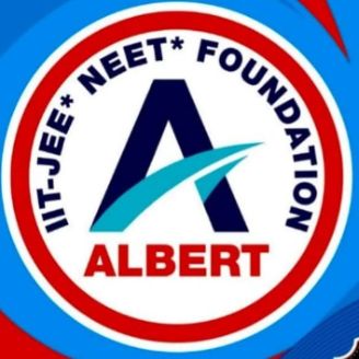 Albert Einstein classes logo