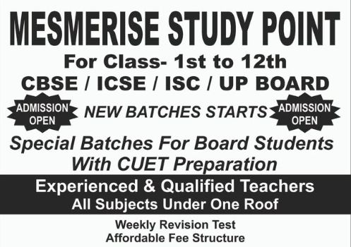 Mesmerise Study Point image 1