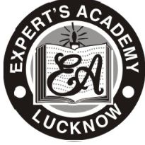 Expert's Academy logo