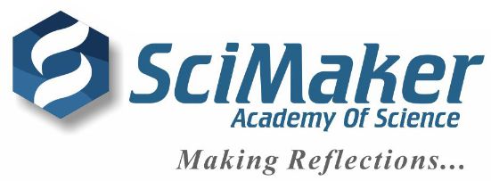 SciMaker Academy image 2