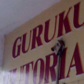 Gurukul Tutorials, Nagpur logo