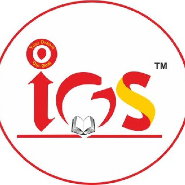 IGS Institute- Institute For Government Services logo