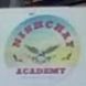 Nischay Academy logo