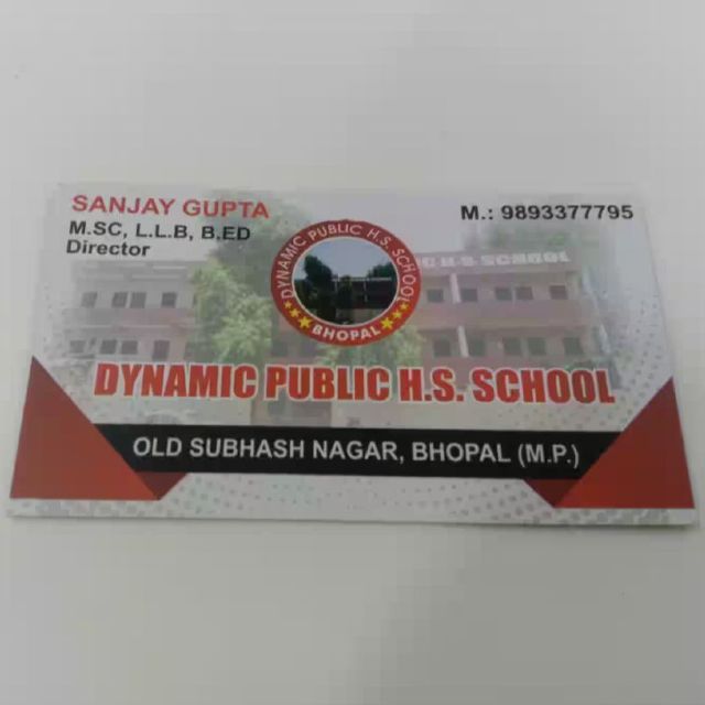 Dynamic Public H.S School logo