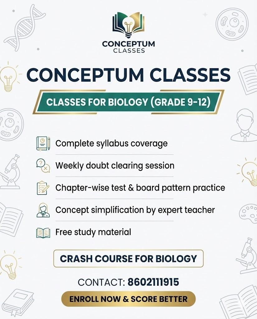 Conceptum Classes  image 3