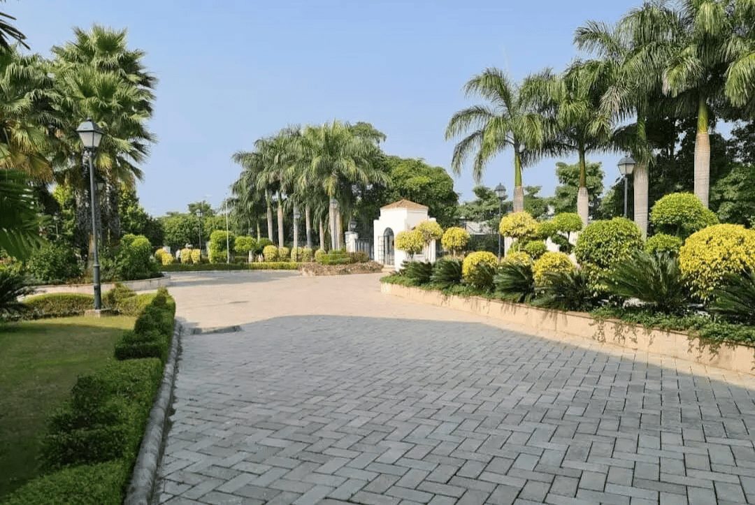 Residential Plot in Manglia – photo 2